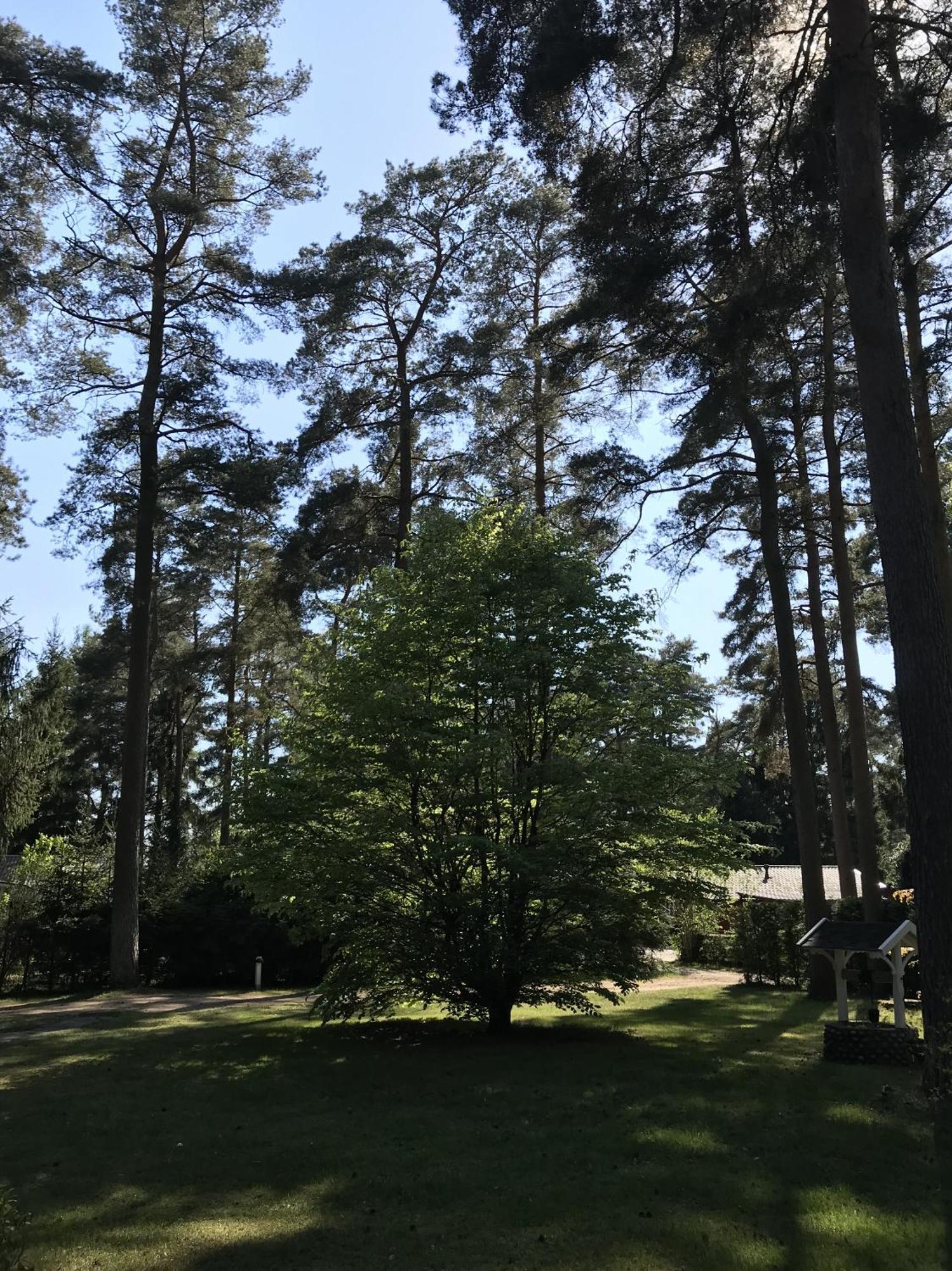Nordic Relax House - Woodhouse Villa Sjöbo Eksteriør billede