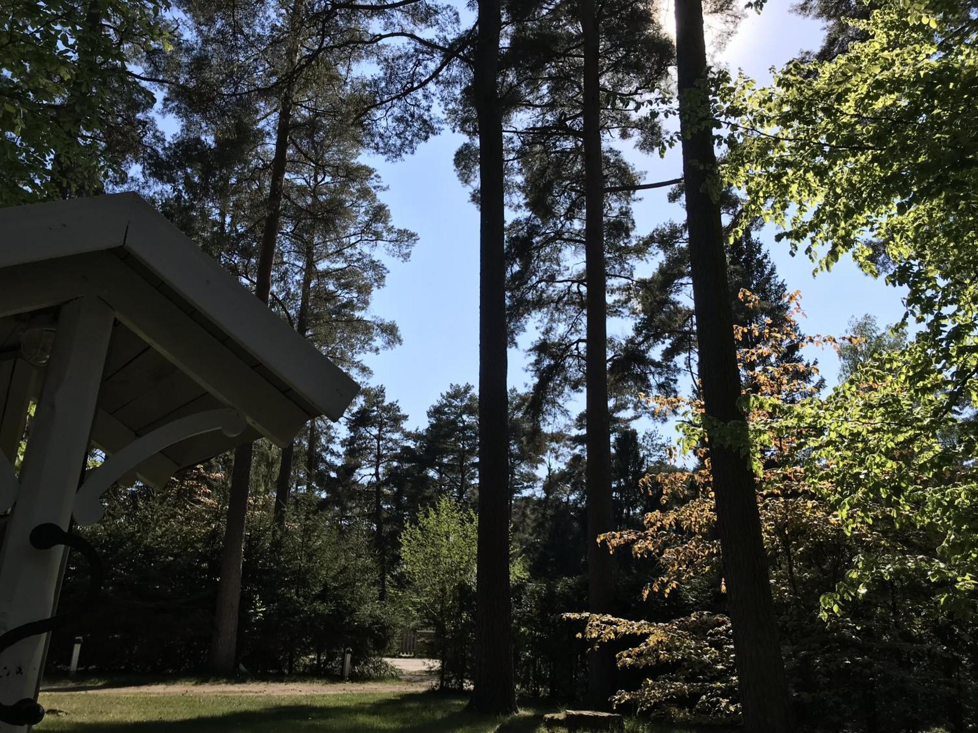 Nordic Relax House - Woodhouse Villa Sjöbo Eksteriør billede